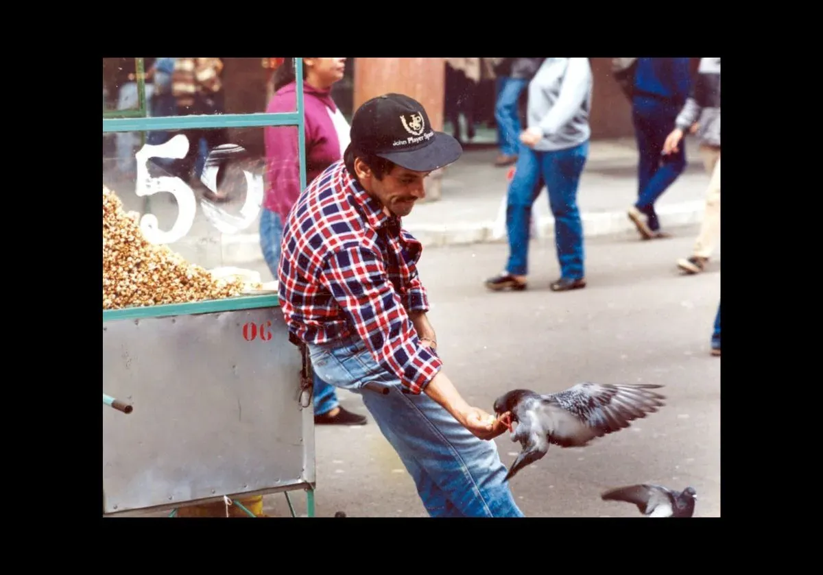 Fotos Cotidiano — foto 1 de 25
