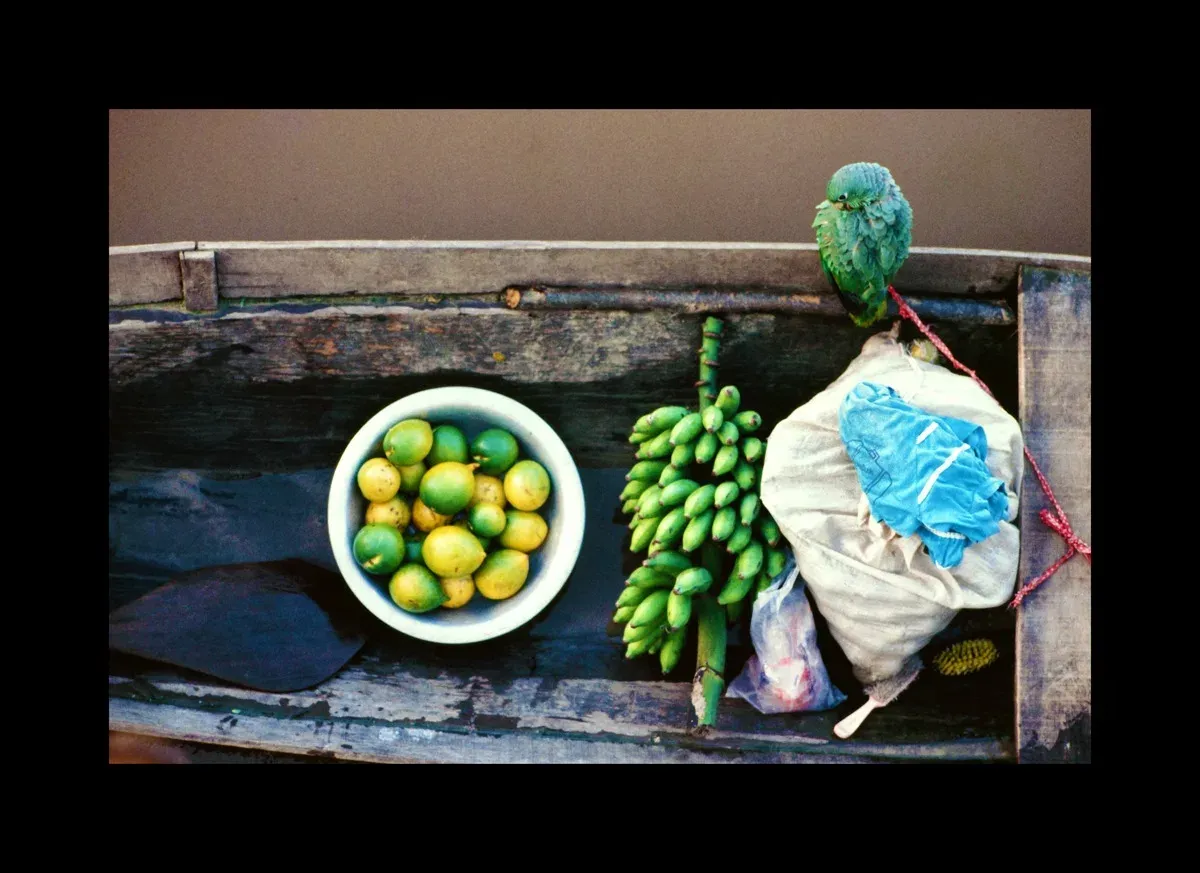 Amazônia: "Tão Perto, Tão Longe" — foto 3 de 19