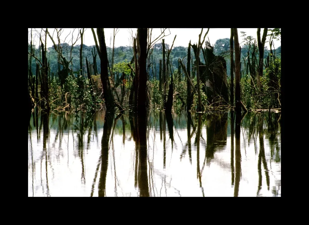 Amazônia: "Tão Perto, Tão Longe" — foto 4 de 19