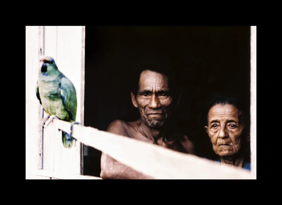 Amazônia: "Tão Perto, Tão Longe" — foto 5 de 19