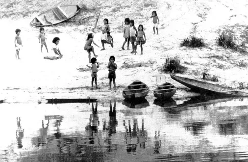 Amazônia — "Tão Perto, Tão Longe"