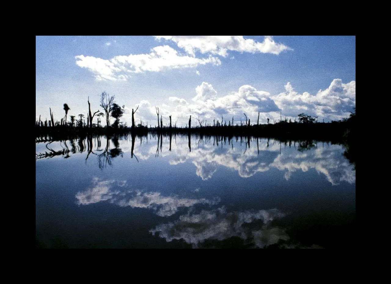 Amazônia: "Tão Perto, Tão Longe" — foto 14 de 19