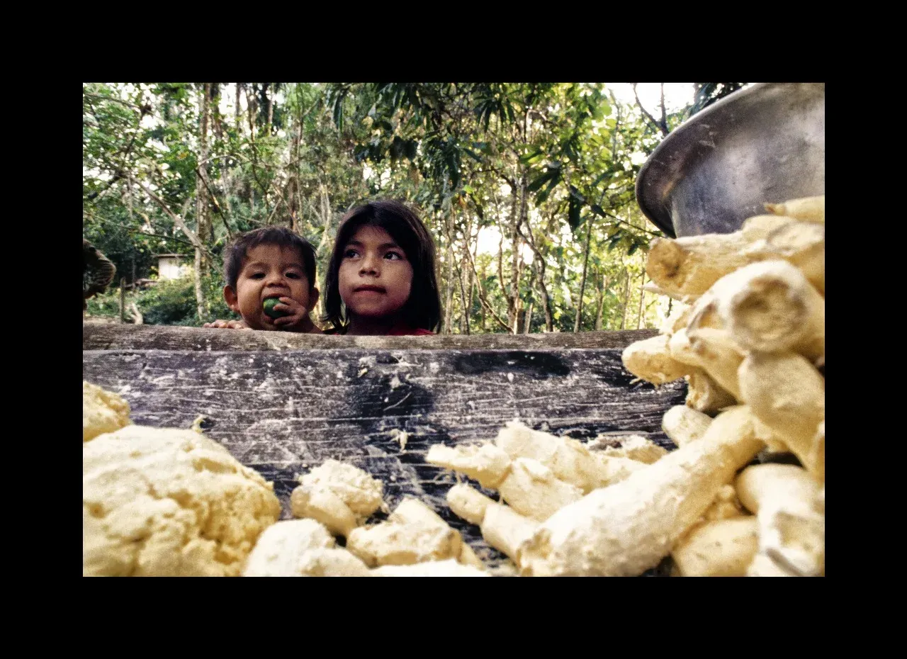 Amazônia: "Tão Perto, Tão Longe" — foto 15 de 19