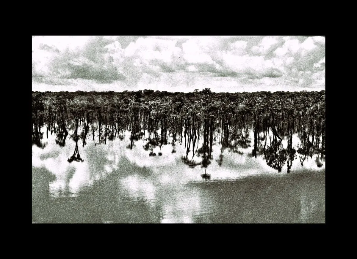 Amazônia: "Tão Perto, Tão Longe" — foto 19 de 19